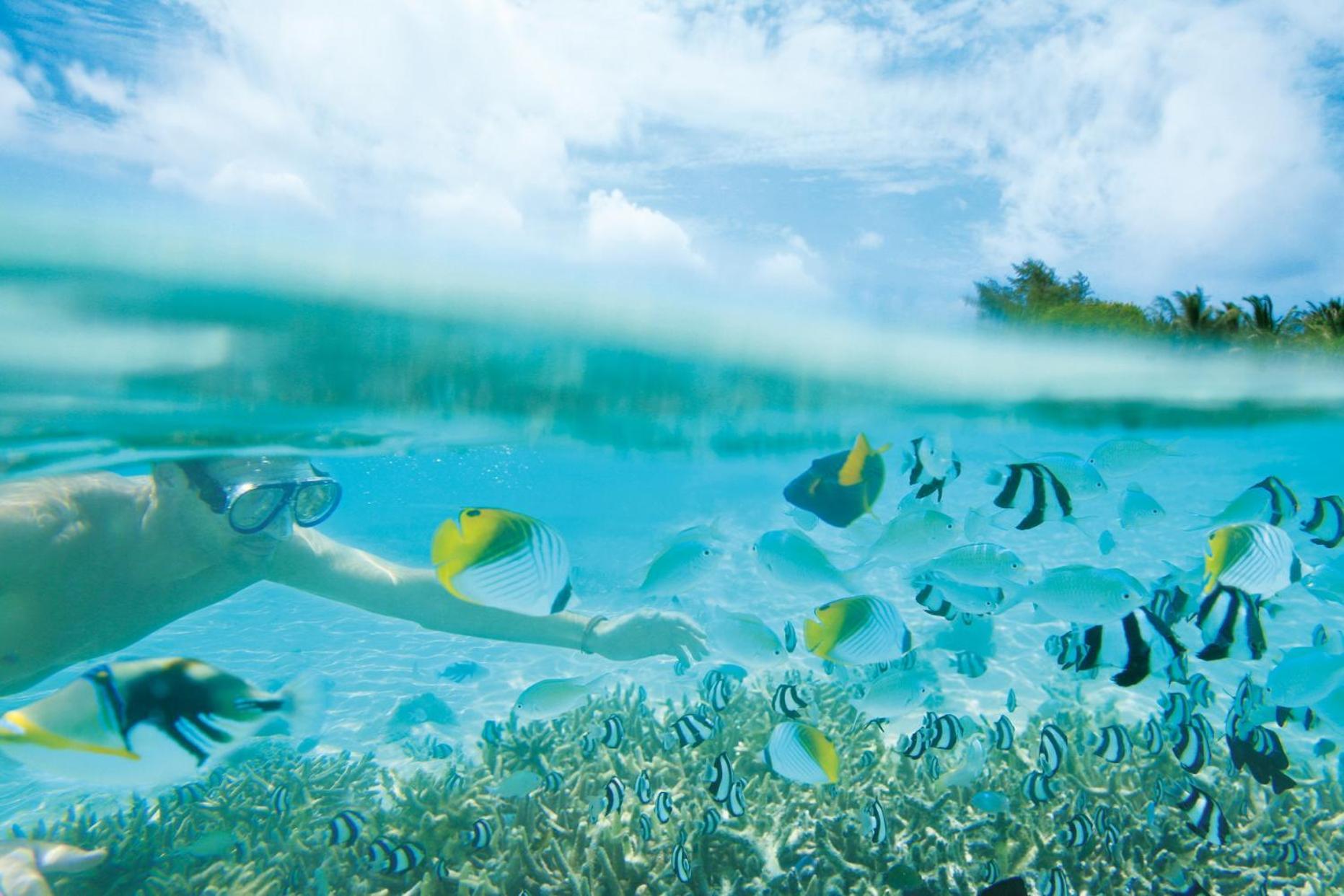 Dhidhoofinolhu Lux* South Ari Atoll Resort & Villas מראה חיצוני תמונה